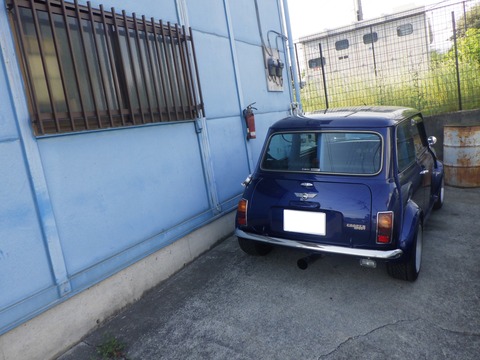 KAJI3008