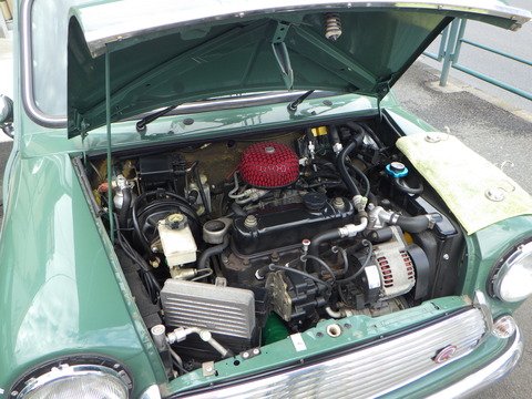 SQOR7425