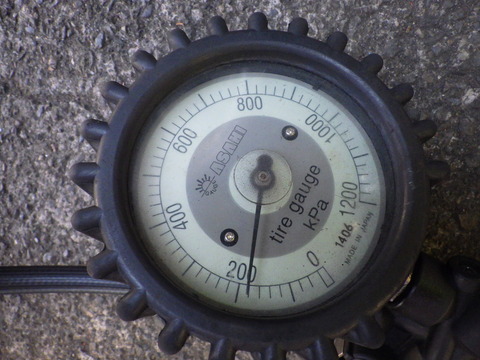 KIKU3625