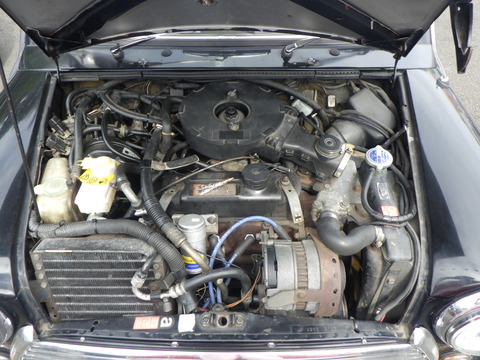 KAJI5473