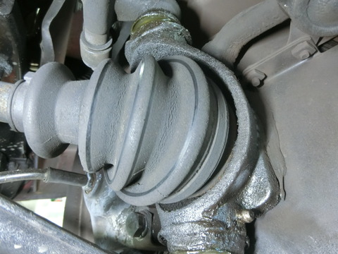 CIMG3689