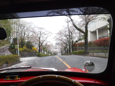 DSCF6724