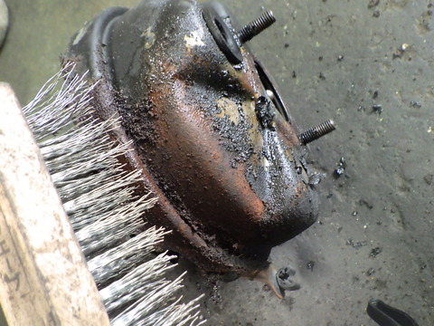 KUBO8156