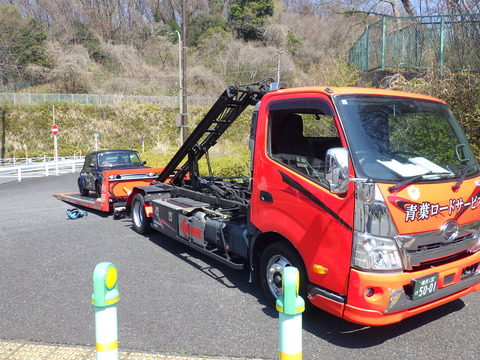 KIKU9950