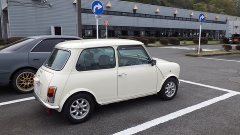 TERU3177
