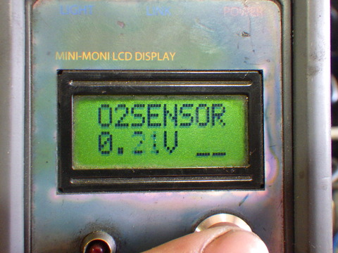 MNK_6376