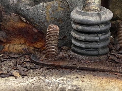 132041575_172272777954095_5539948413359520099_n