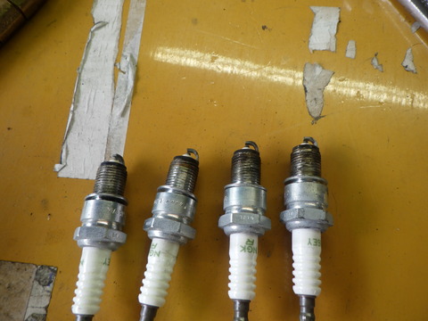 KAJI3229
