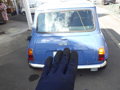 KIKU4523