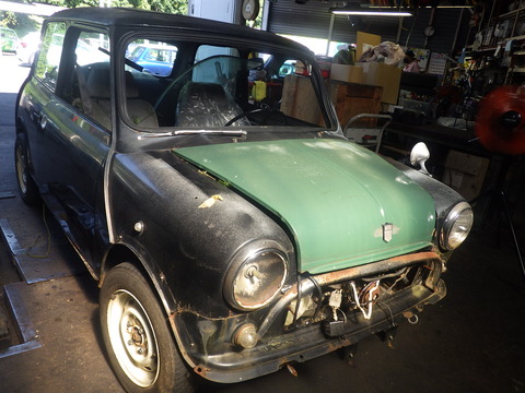 KIKU9839