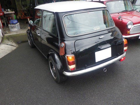 KAJI3649