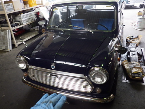 KIKU1456