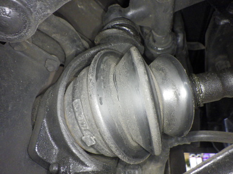 KAJI2124