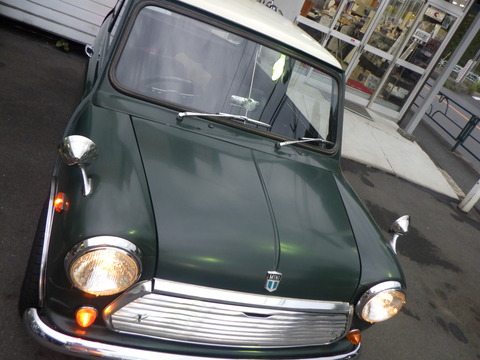 KAJI5195