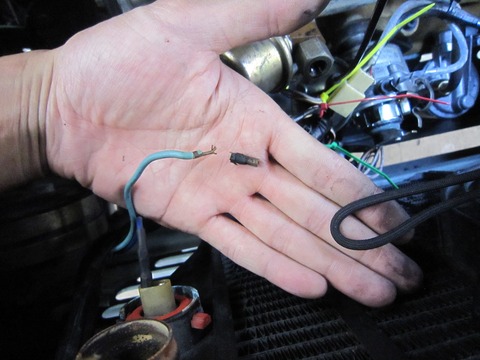 19650075_673620576176449_157522013_o