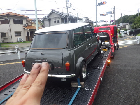 KIKU0113