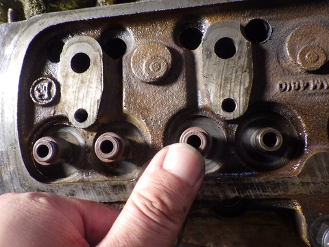 KIKU5120