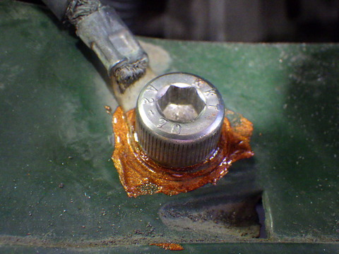 KIKU4372