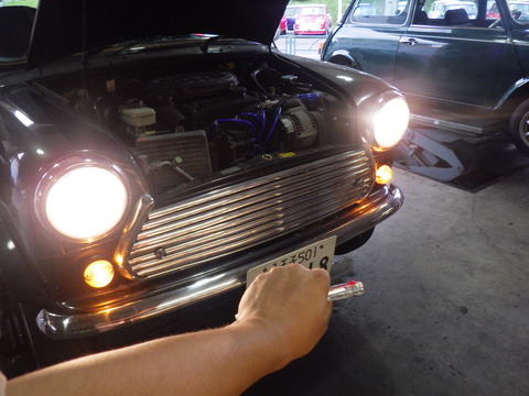 AZM_9788