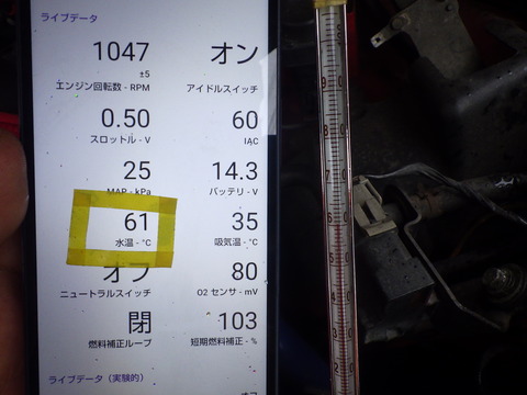 KIKU6983