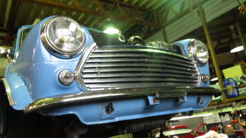 KUBO3131