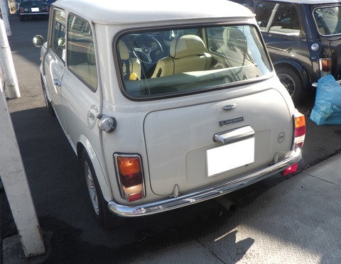 KAJI1294