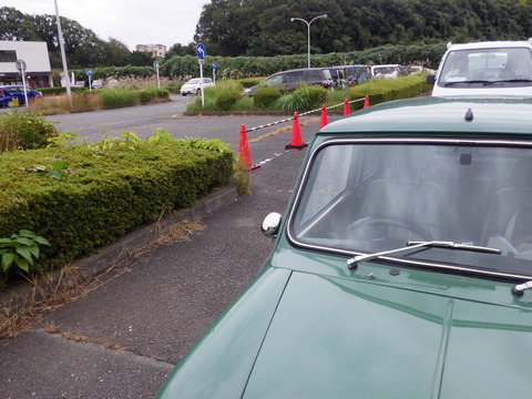 TERU5781