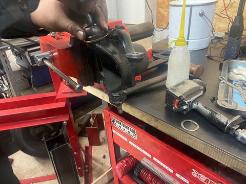 164830951_446570366556347_2525688872004433656_n