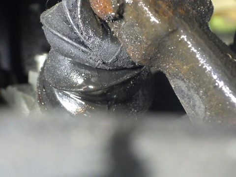 KUBO4958