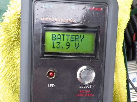 KIKU8409
