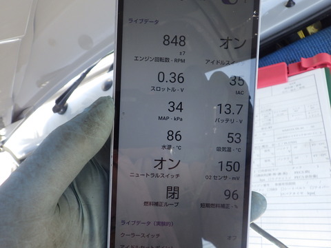 KIKU3417