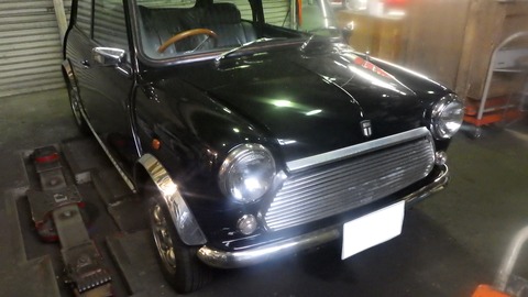 KUBO3677