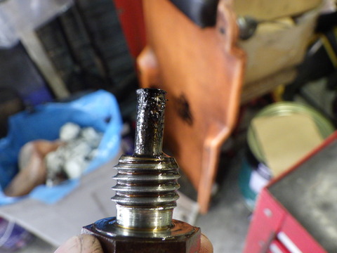 KAJI5392
