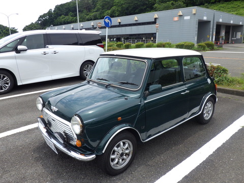 TERU8254