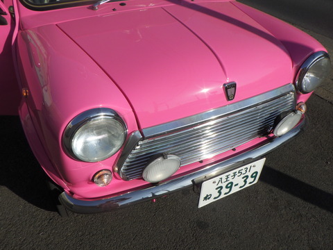 KAJI5271