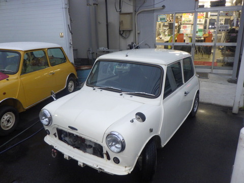 KAJI6097