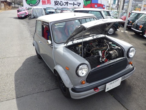 TERU7687