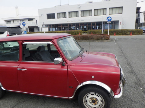 KAJI1294