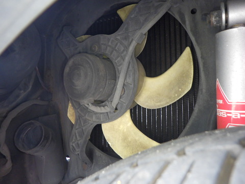 KAJI3268