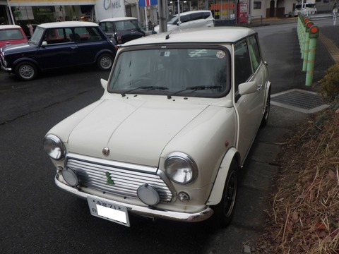 KAJI1051