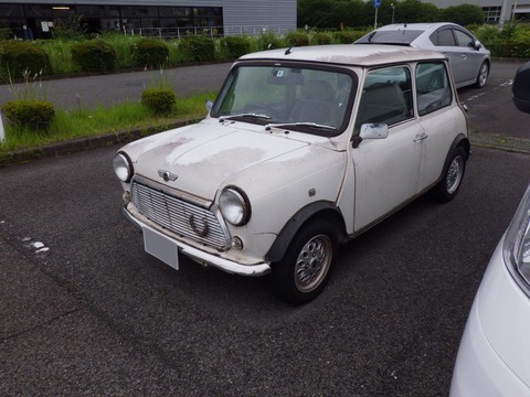 AZM_2535