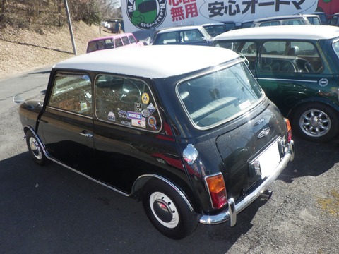 KAJI1173