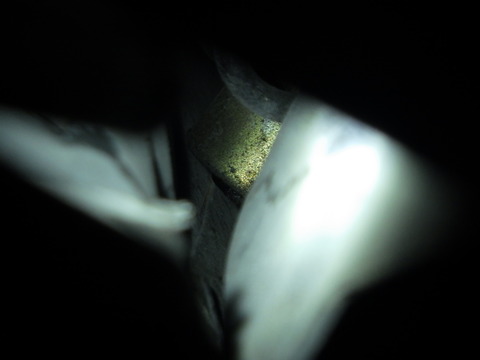 ISK_2530