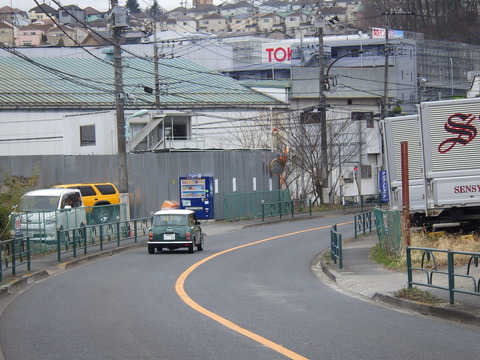 KIKU8426
