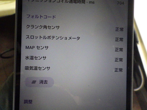 KIKU3318