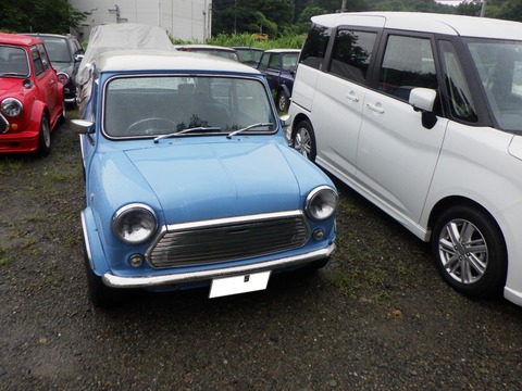KAJI2276