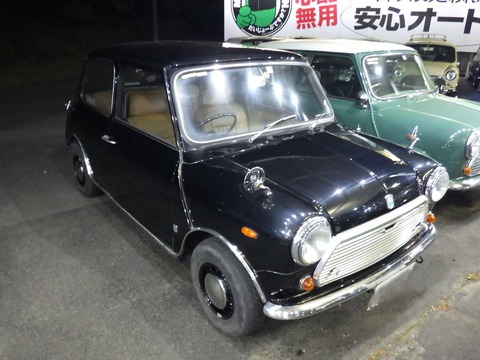 TERU8101