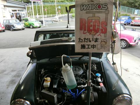 CIMG3981