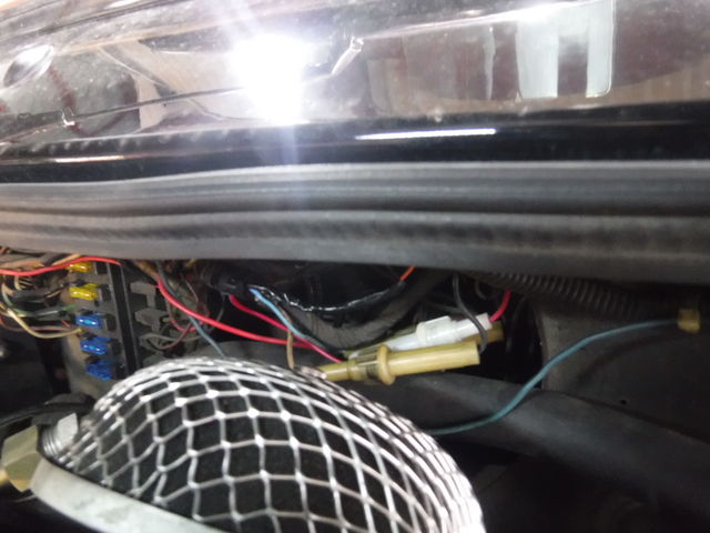 Sot様 ハザードとルームランプ点灯せずでご来店 スタッフブログ ローバーミニ専門店キャメルオート