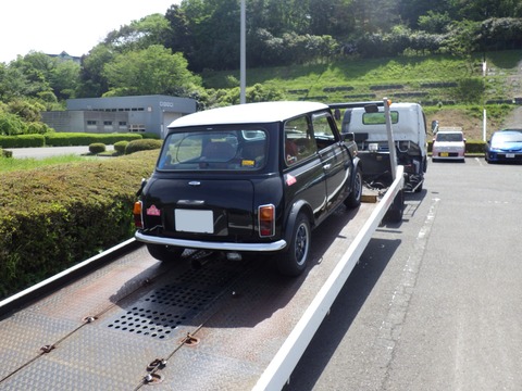 AZM_9919